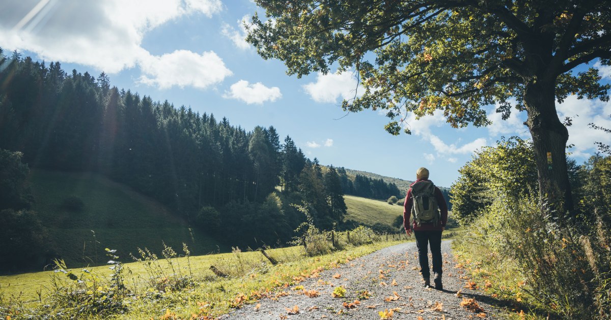 Weser Uplands Hiking Landscapes Hiking Experiences Visit