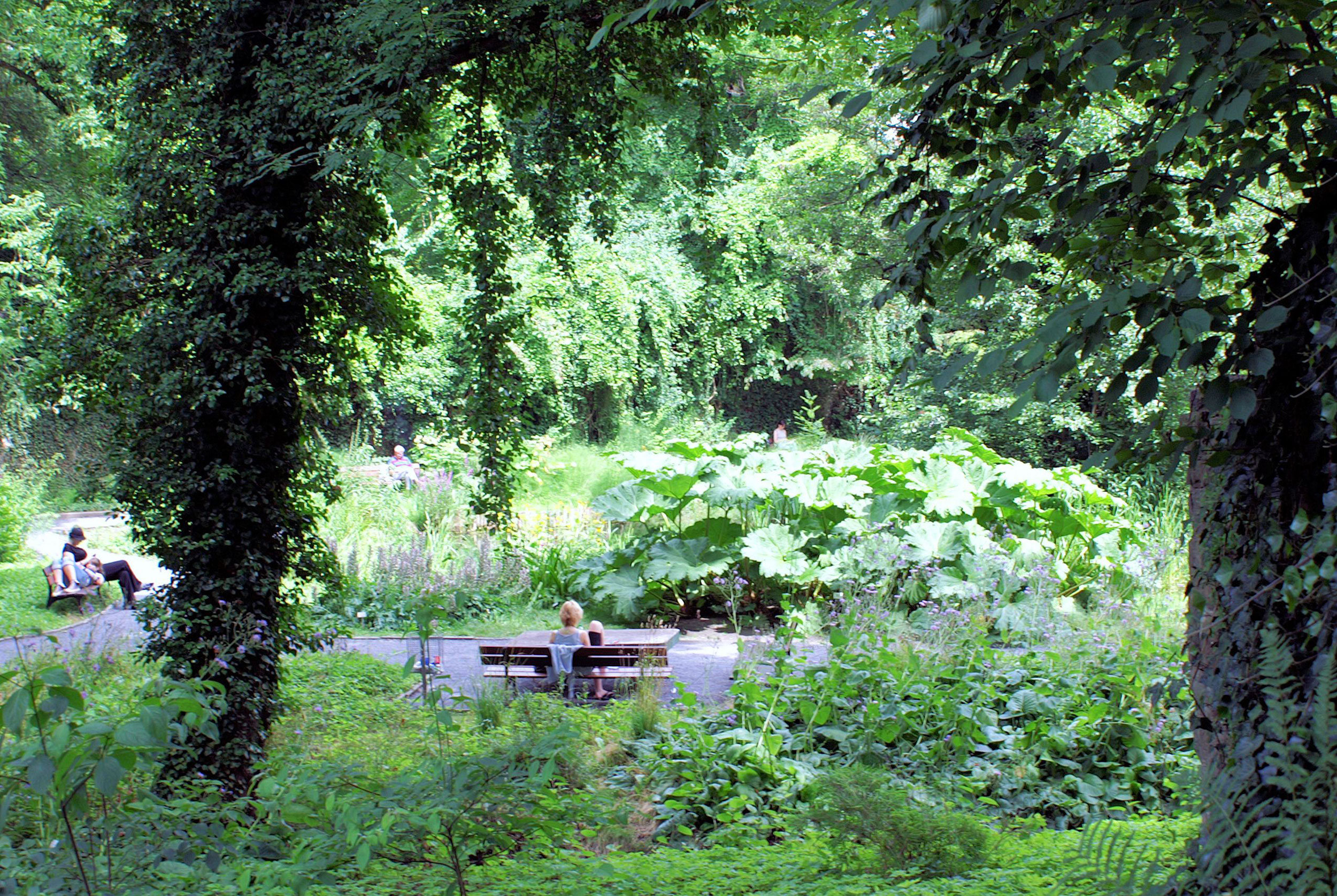 Alter Botanischer Garten (Old Botanical Garden) Göttingen