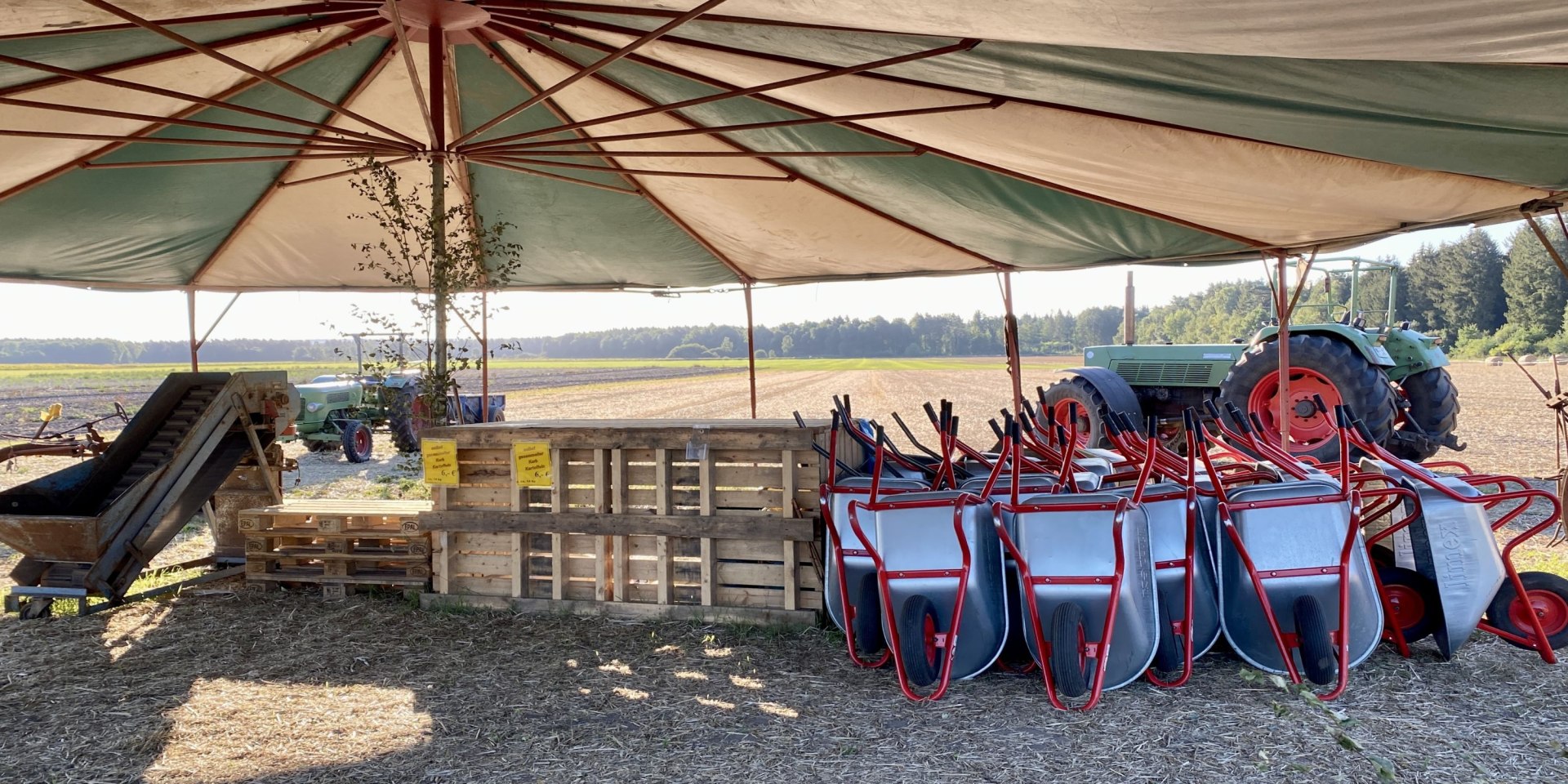 mueden-kartoffelfest-tewes-kartoffelhof-ccbysa-bb-20210828-13, © Lüneburger Heide GmbH