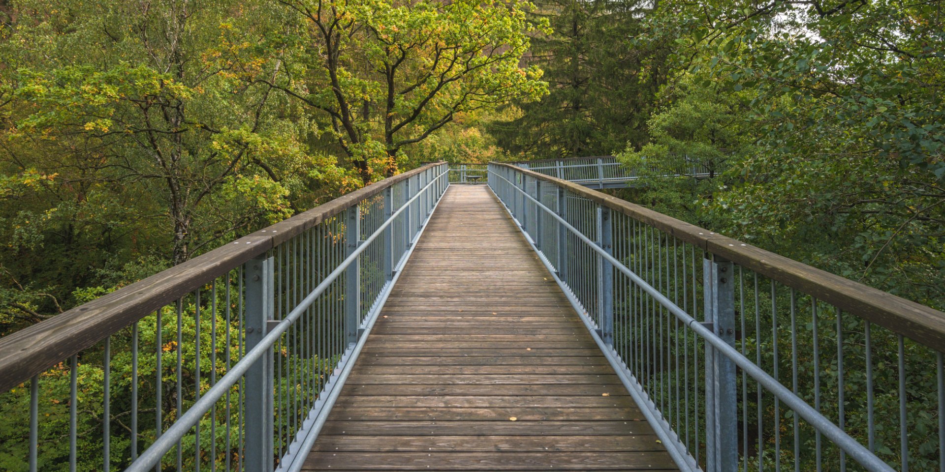 Tree top walkway, © TMN/Alex Kaßner