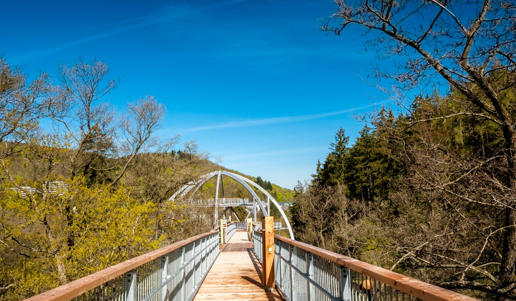 View of the treetop path, © Baumwipfelpfad Harz / Steffen Henze