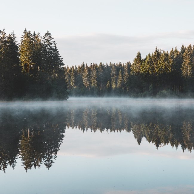 Harz, © Benedict Braun