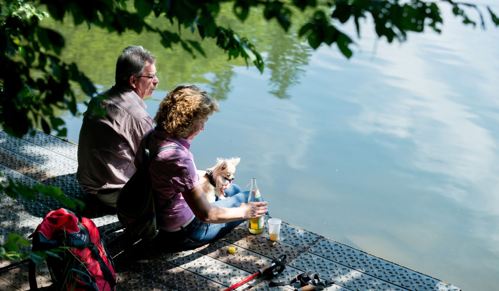 Rest on Wiesenbeker Teich (UnescoWeltkulturerbe), © Stadtmarketing Bad Lauterberg im Harz/ Rico Kreim