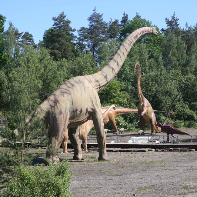 dinosaurs Münchehagen, © Dinosaurier-Park Münchehagen GmbH & Co.KG