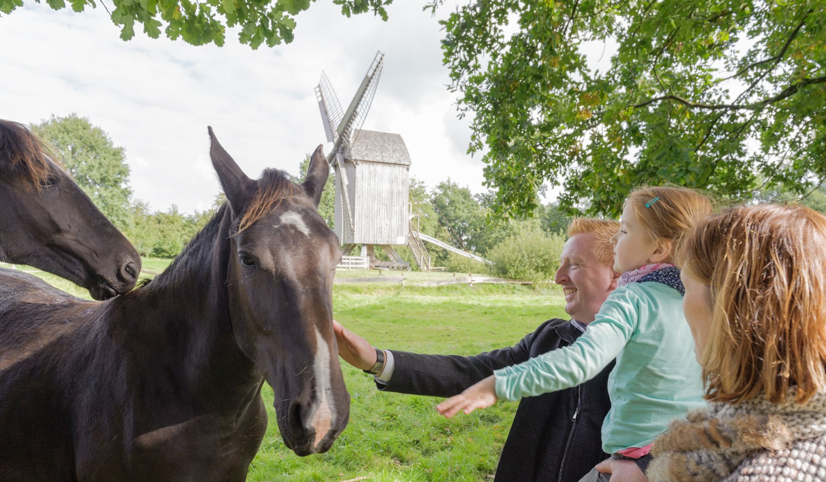 Very popular: the regional horse breed "Alt Oldenburger", © Michael Stephan/ Museumsdorf Cloppenburg