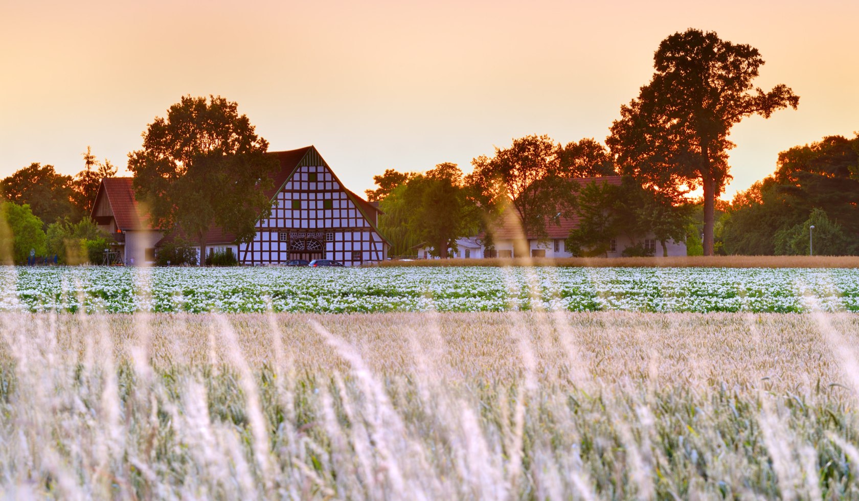 Fachwerkhaus bei Bad Essen, © TMN/Francesco Carovillano